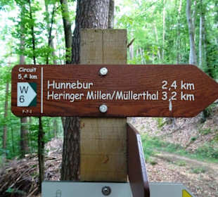 Wanderung durch die Kleine Luxemburger Schweiz