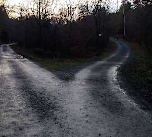 Wildpark Betzenberg in Kaiserslautern