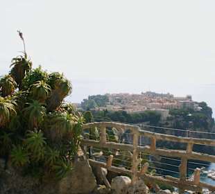 Jardin dÉxotique - Monaco