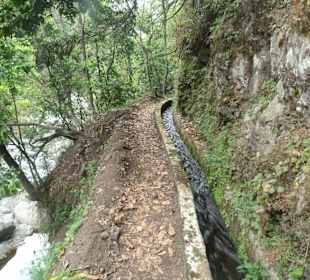 An der Levada do Costelejo