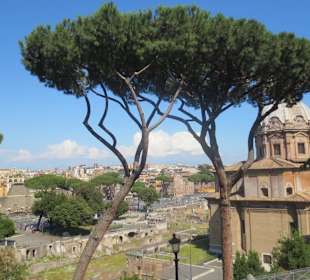 Forum Romanum