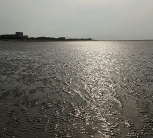 Wattenmeer-Wanderung an der Nordsee bei Cuxhaven
