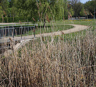  Im Hohnhorst-Park Lehrte