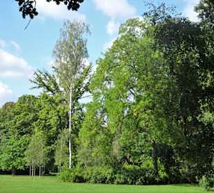 Eindrücke aus dem Hofgarten Bayreuth