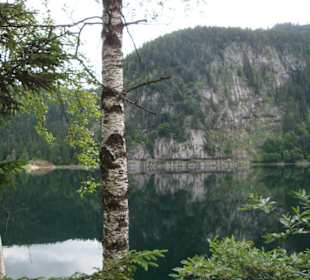 Wanderweg rund um den Gosausee