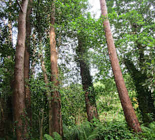 Glenveagh National Park