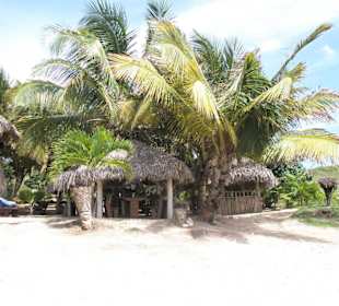 Die Insel Pinel