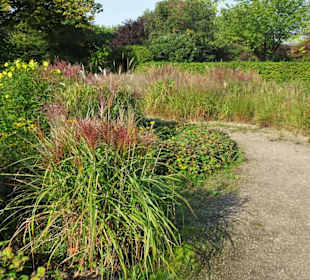 Eindrücke aus dem Harburger Stadtpark