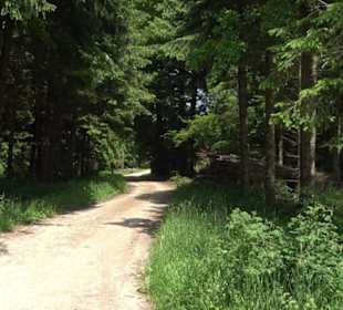 Klimaweg Sonnenalb