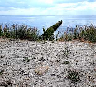 InselTours Usedom