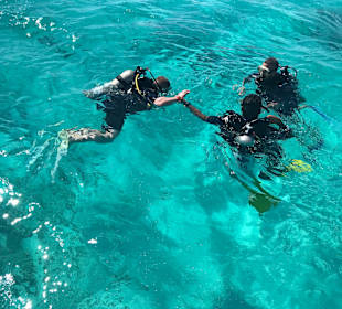 Tauchbasis Scuba World Divers Soma Bay