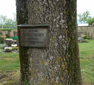 Sülchenfriedhof