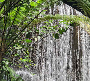 Wasserfall