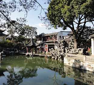 Озеро в саду Львиная Роща