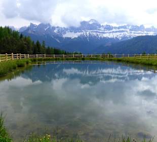 Spiegelung im Wasser 