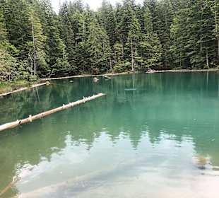 Wandern Hermagor - Pressegger See