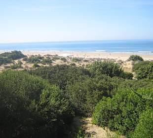 Dünen von La Barrosa 