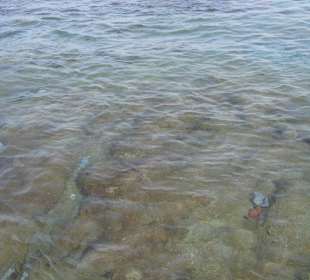 Steinplatten im seichten Ufer