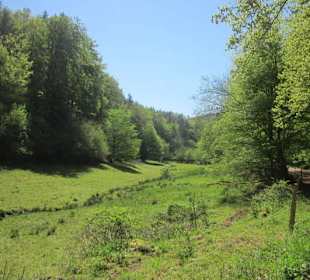 Auf dem Weg zur Queichquelle