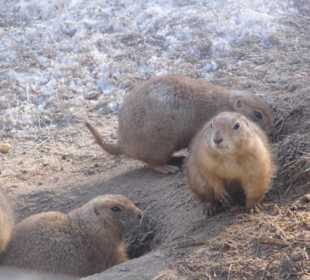 ImpressionOstern2013