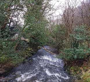 Wicklow Nationalpark