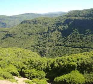 Ausblick Landesinnere West