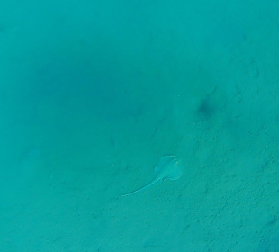 Schnorcheln Hurghada