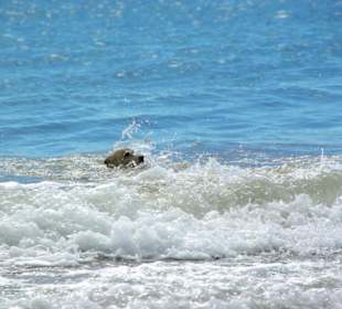 Ende September 2010 Inspirationen