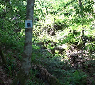 Griesbacher Wasserfälle Bad Griesbach