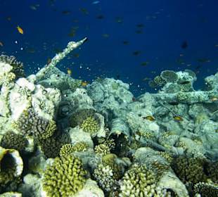 Wrackteile der Lovilla