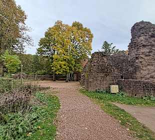 Kurpark Illingen in Illingen