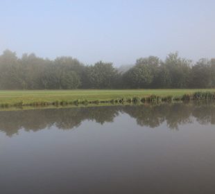 Die Anlage im Frühnebel