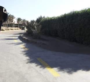 Stadtbesichtigung El Gouna