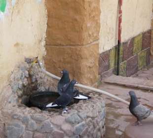 Safari Land Badawya Hurghada