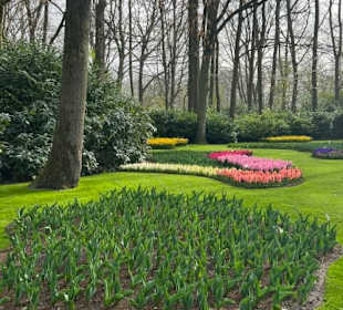 Keukenhof Holland