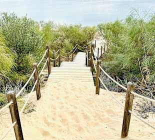 Wandern Cabanas de Tavira