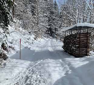 Bartholomäberg-Innerberg