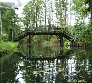 Lübbenau - Natur pur