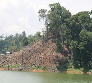 Orang Asli Village Kejar Hill