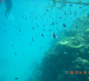 Ausflug mit Mohamed-Dream Life