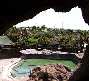 Ausblick aus einer Höhle auf das Parkgelände