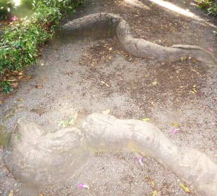 Botanischer Garten Puerto de la Cruz