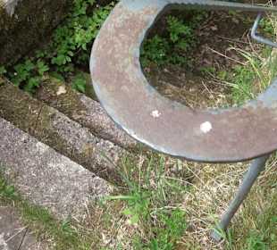 Burgruine Sterneck