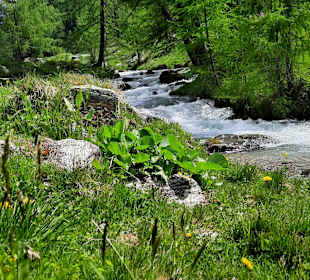Wandern Rein in Taufers