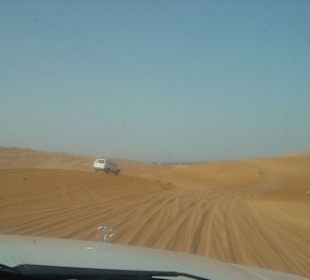 Wüstenausflug
