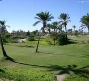 Bild vom Card Partner