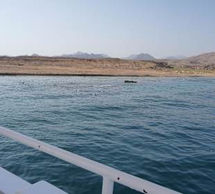 Ein weiterer Schnorcheltrip