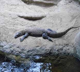 Prager Zoo