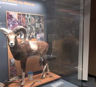 Museum der Naturkunde