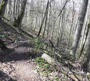 Wanderweg Hochgehkämpft